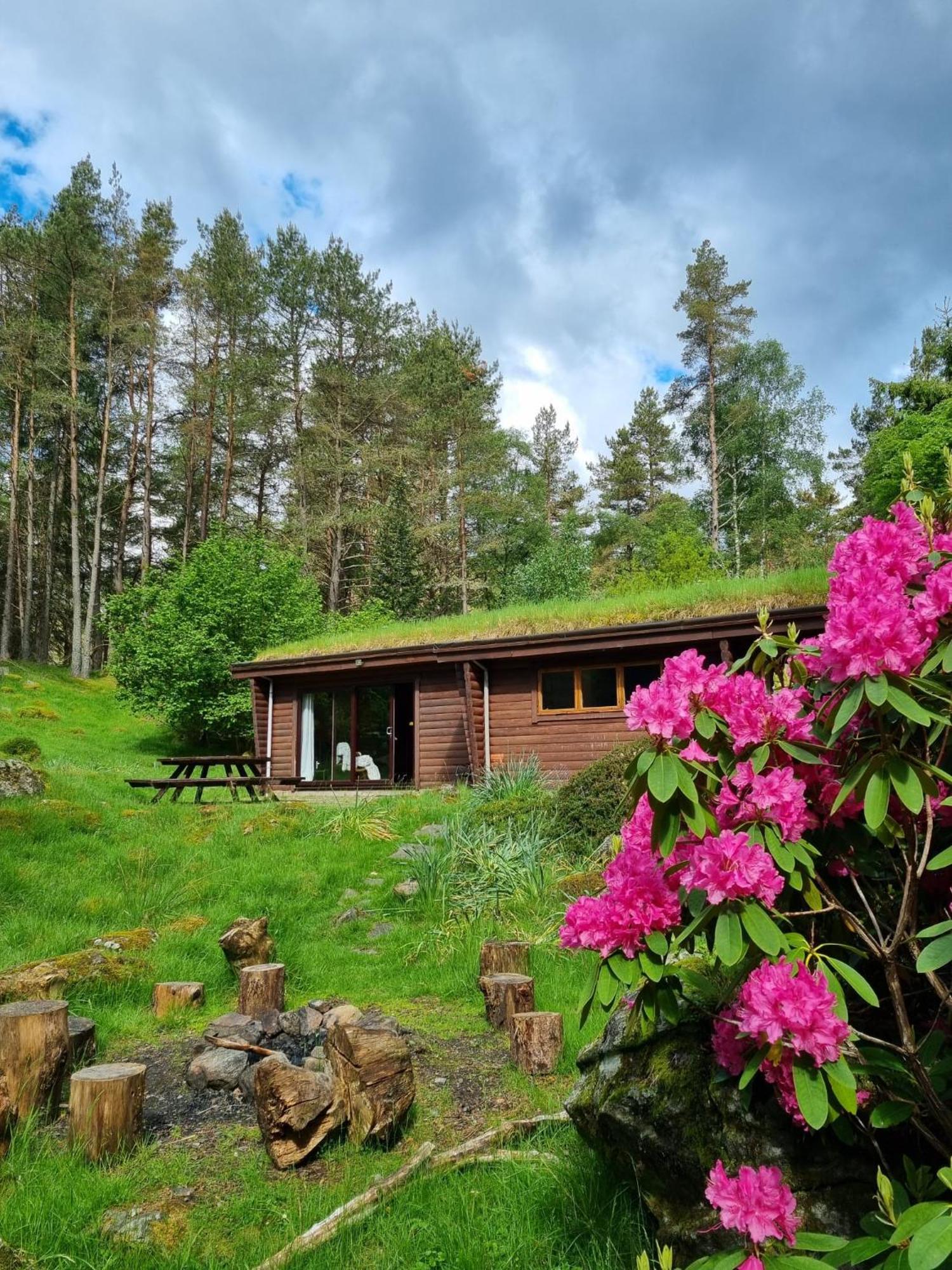 Our Log House in the woods Villa Balnald Exterior photo