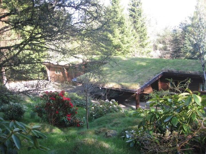 Our Log House in the woods Villa Balnald Exterior photo