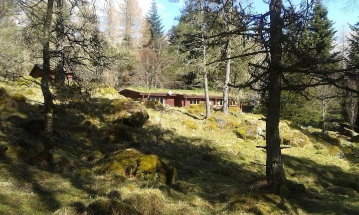 Our Log House in the woods Villa Balnald Exterior photo